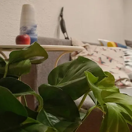 Q50 Bairro Alto - Ceramics Apartment